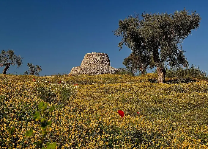 Meraviglie Del Salento Bed & Breakfast Porto Cesareo
